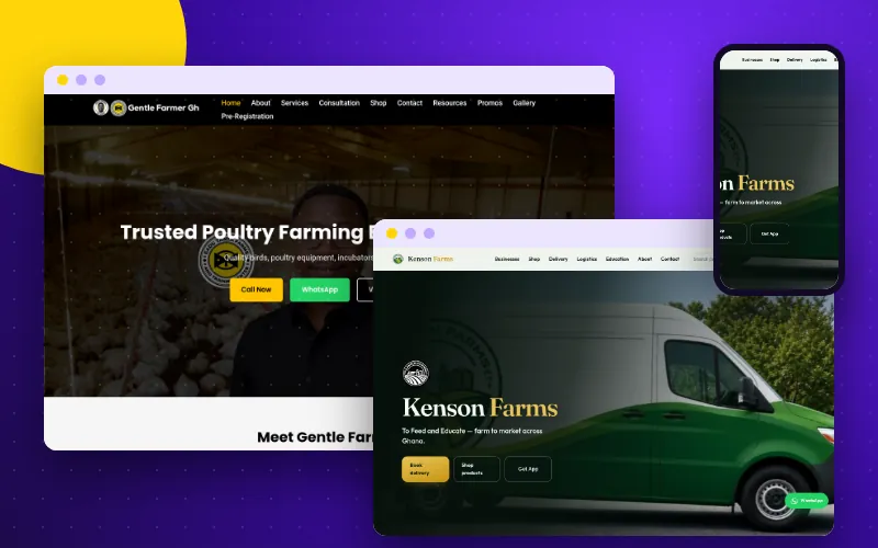 Illustration: Web & App Design